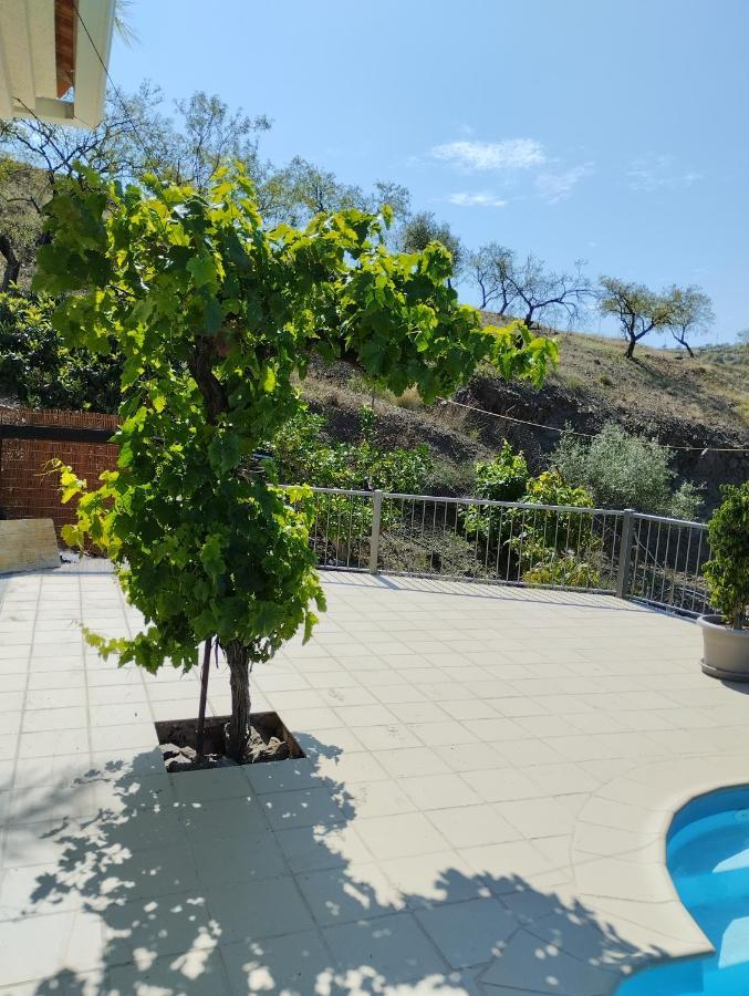 Villa Las Vinas Малага Экстерьер фото